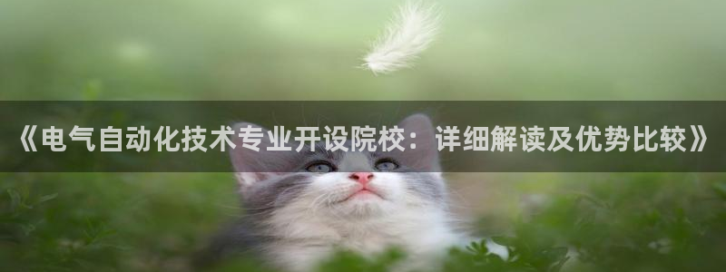 凯发娱乐k8国际