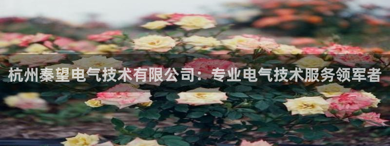 凯发手机唯一