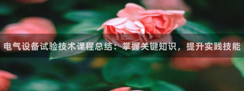 凯发k8娱乐平台下载