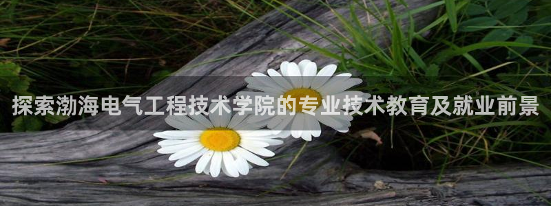 凯发娱乐k8国际