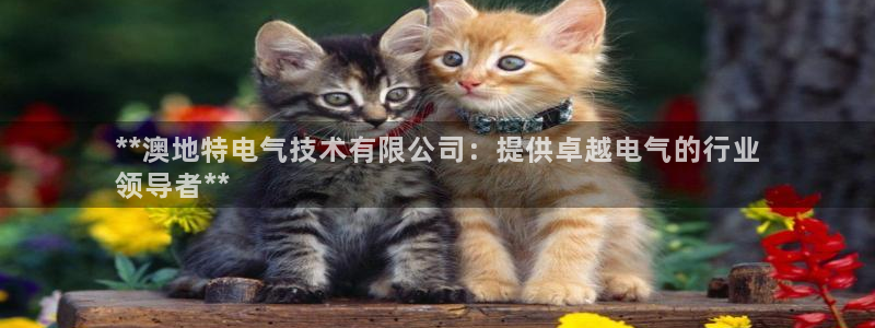凯发官网地址