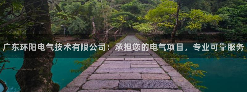 凯发k8国际真人娱乐旗舰厅：广东环阳电气技术有限公