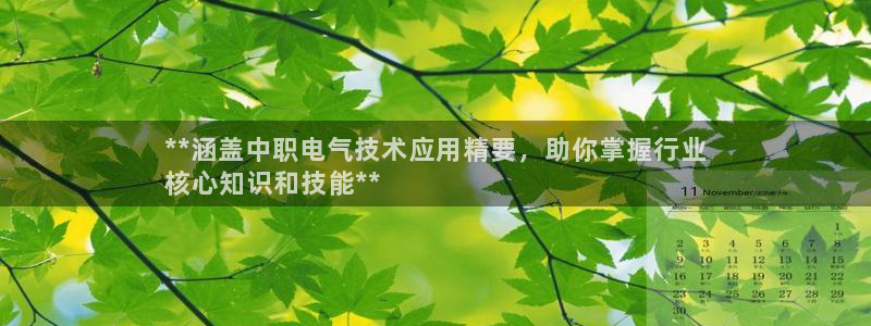 凯发旗舰厅：**涵盖中职电气技术应用精要，助你掌握