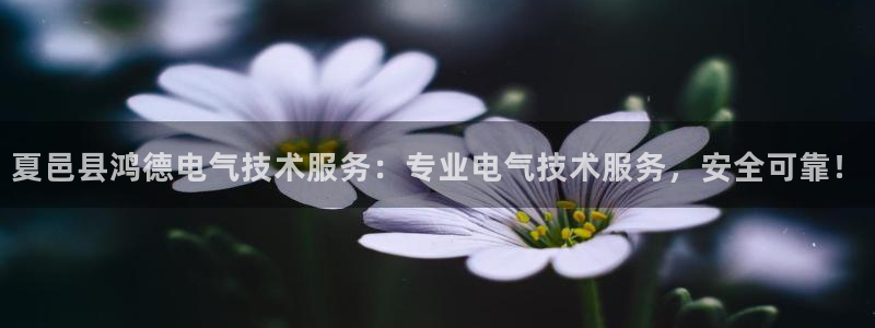 凯发k8旗舰厅app下载i来就送38元：夏邑县鸿德