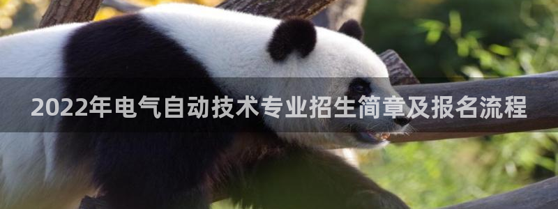 凯发k8官方网娱乐官方：2022年电气自动技术专业